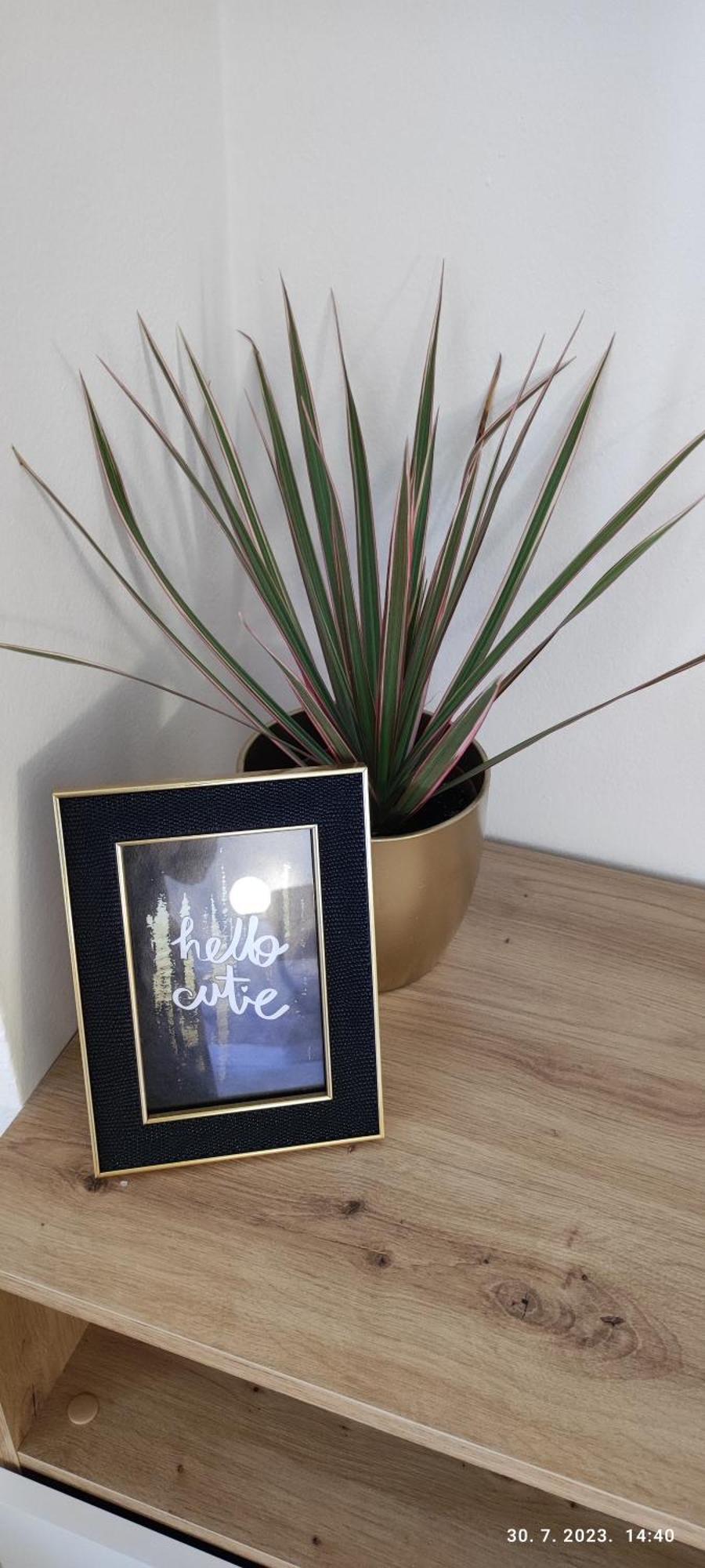 Palit Riviera Rooms And Apartments מראה חיצוני תמונה